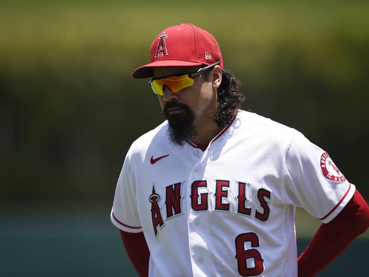 Anthony Rendon may face consequences for incident with fan