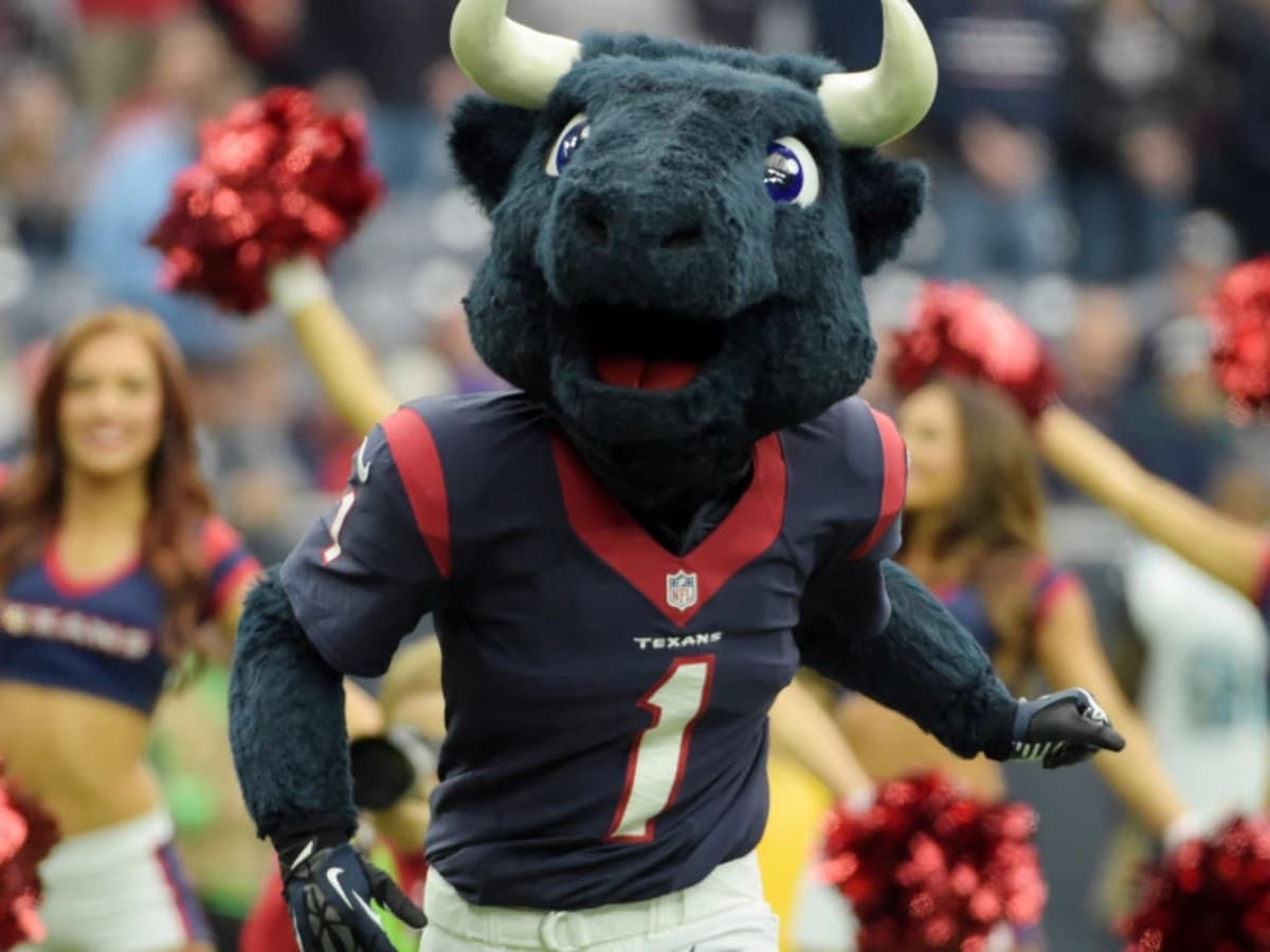 Houston Texans Mascot Toro Wins Two Awards At NFL Mascot Summit - Sports  Illustrated Houston Texans News, Analysis and More