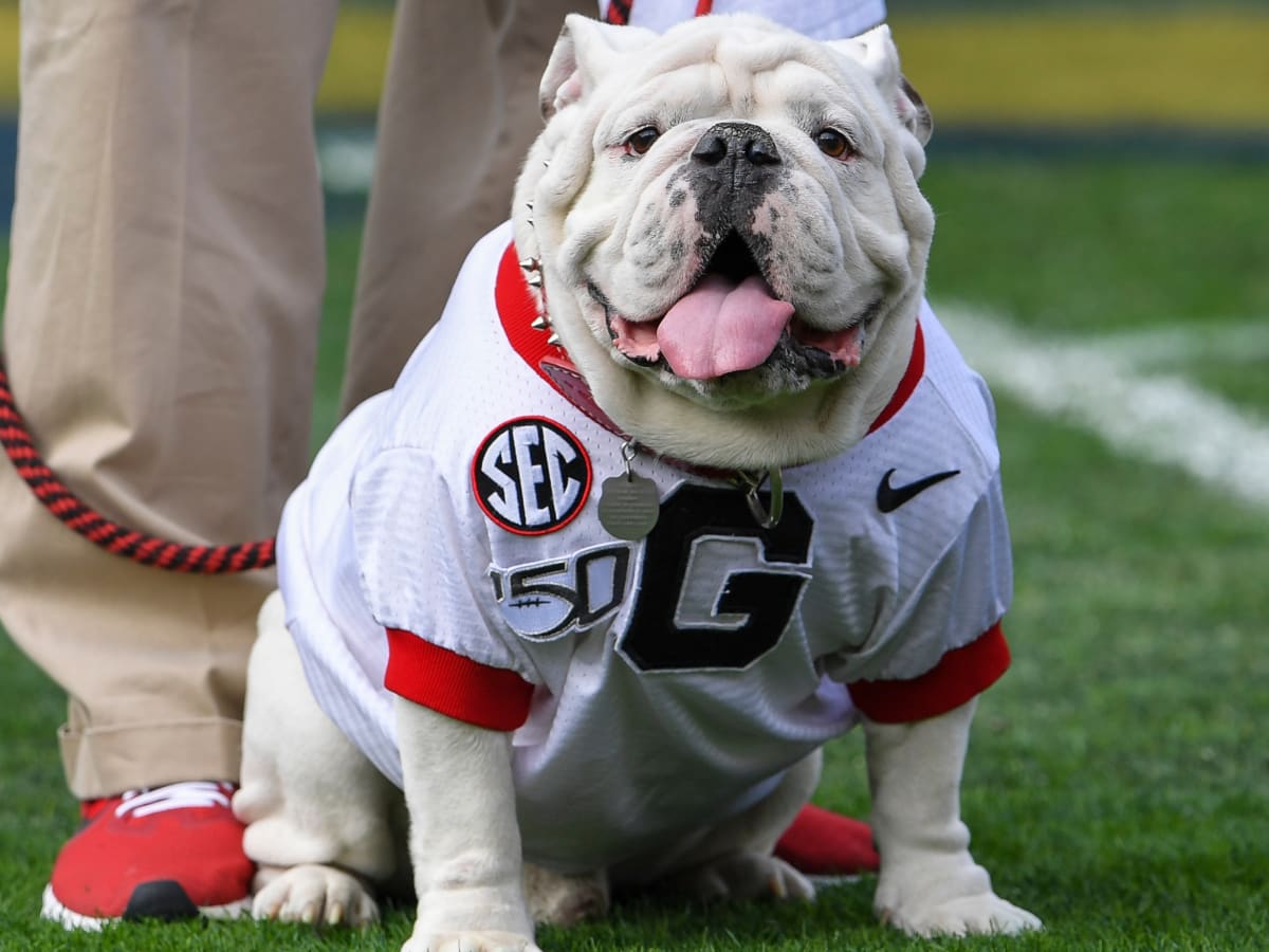 Georgia's Mascot, Uga X, Will Retire With Impressive Honor - Sports  Illustrated