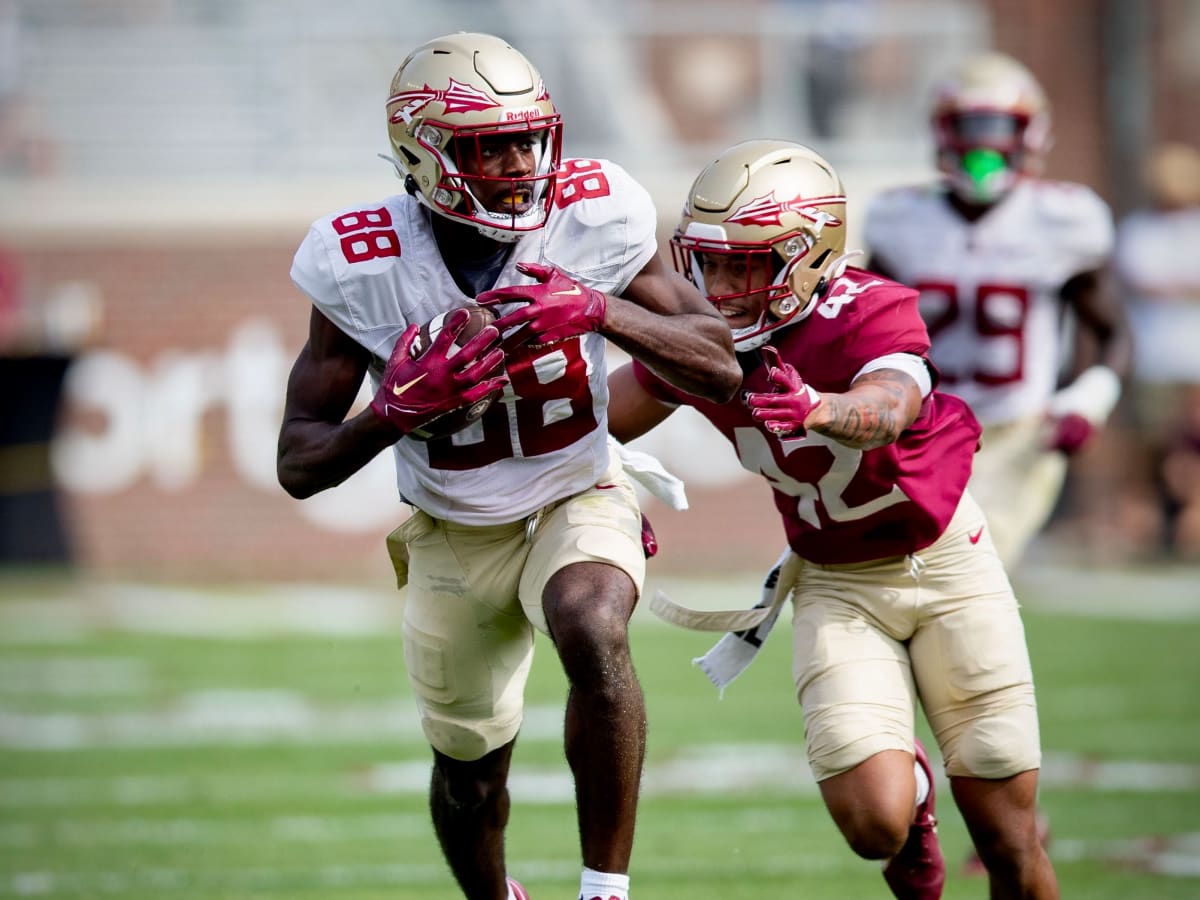 FSU Baseball on X: First look at the Garnet and Gold teams! Which team you  got for game one?  / X