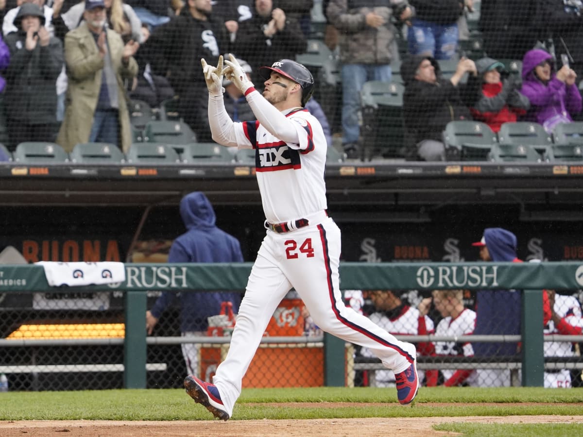 Chicago White Sox on X: 🐾 Meet Leo 🐾 Leo, a Pitbull rescue, is