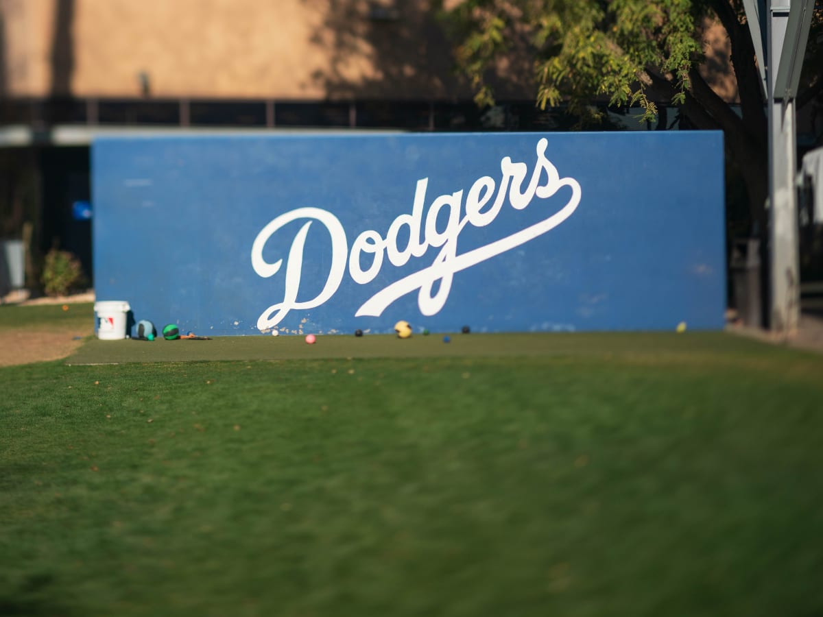 Dodgers 2021 Minor League report