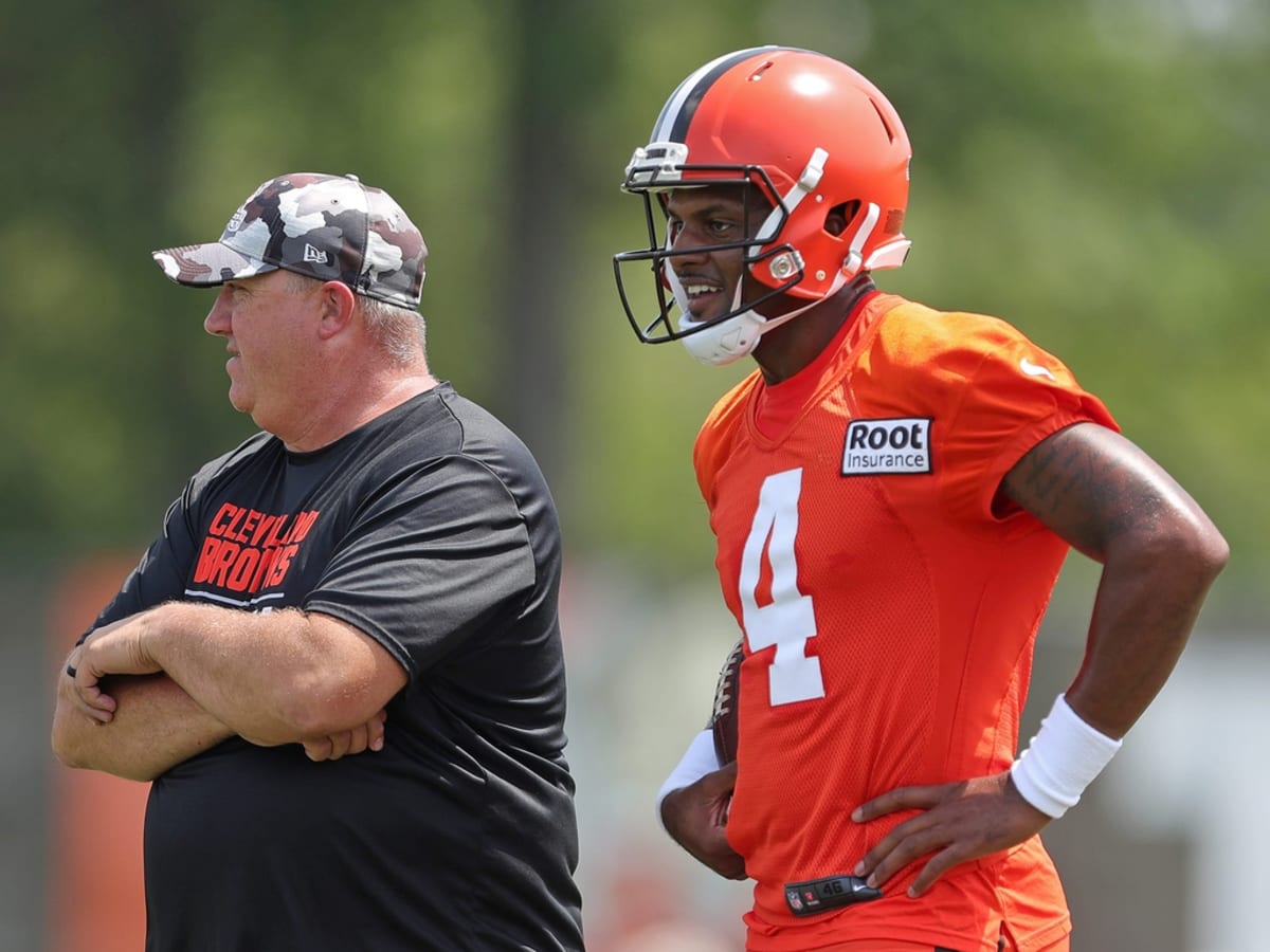 Cleveland Browns' 2023 outlook: Deshaun Watson, Jim Schwartz and a  much-improved WR room, NFL News, Rankings and Statistics