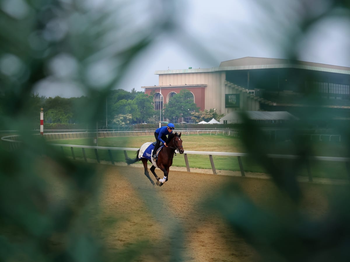 Belmont Odds and Picks: Who Will Win? - The New York Times