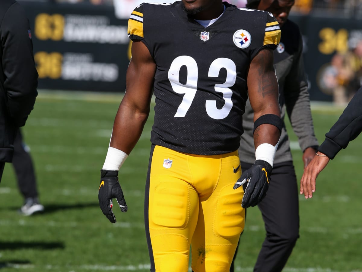 Mark Robinson giving Steelers a glimpse into their linebacker future