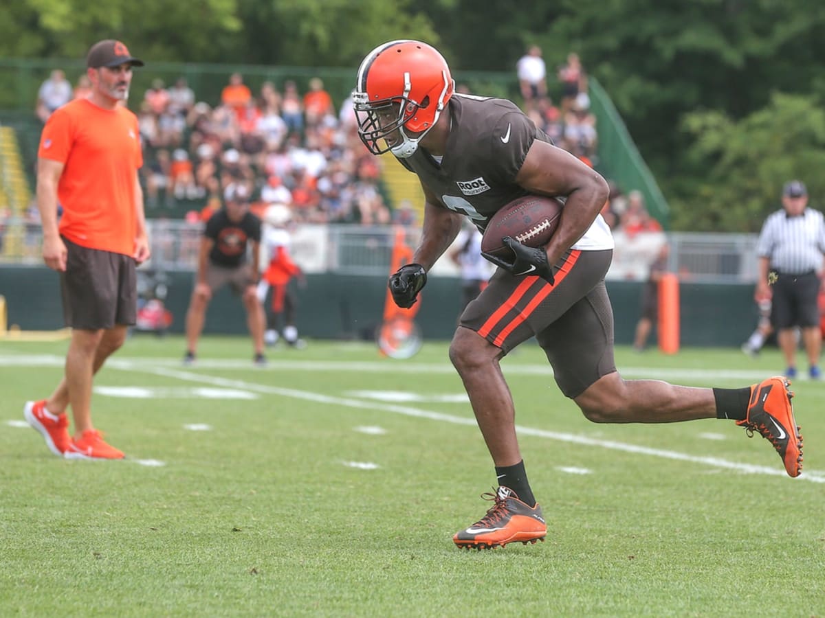 cleveland browns training camp