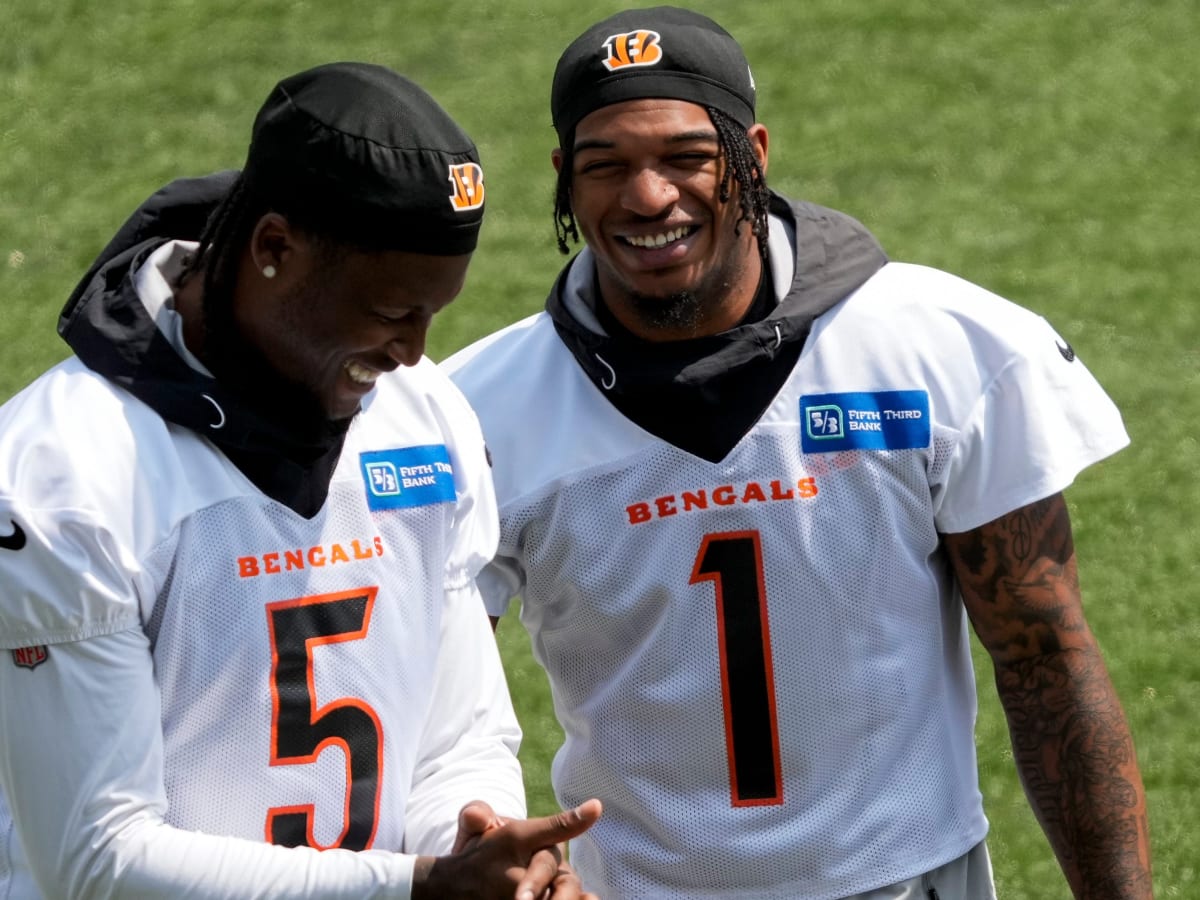 Bengals Wideout Tee Higgins Reacts To Joe Burrow's Support, The Spun