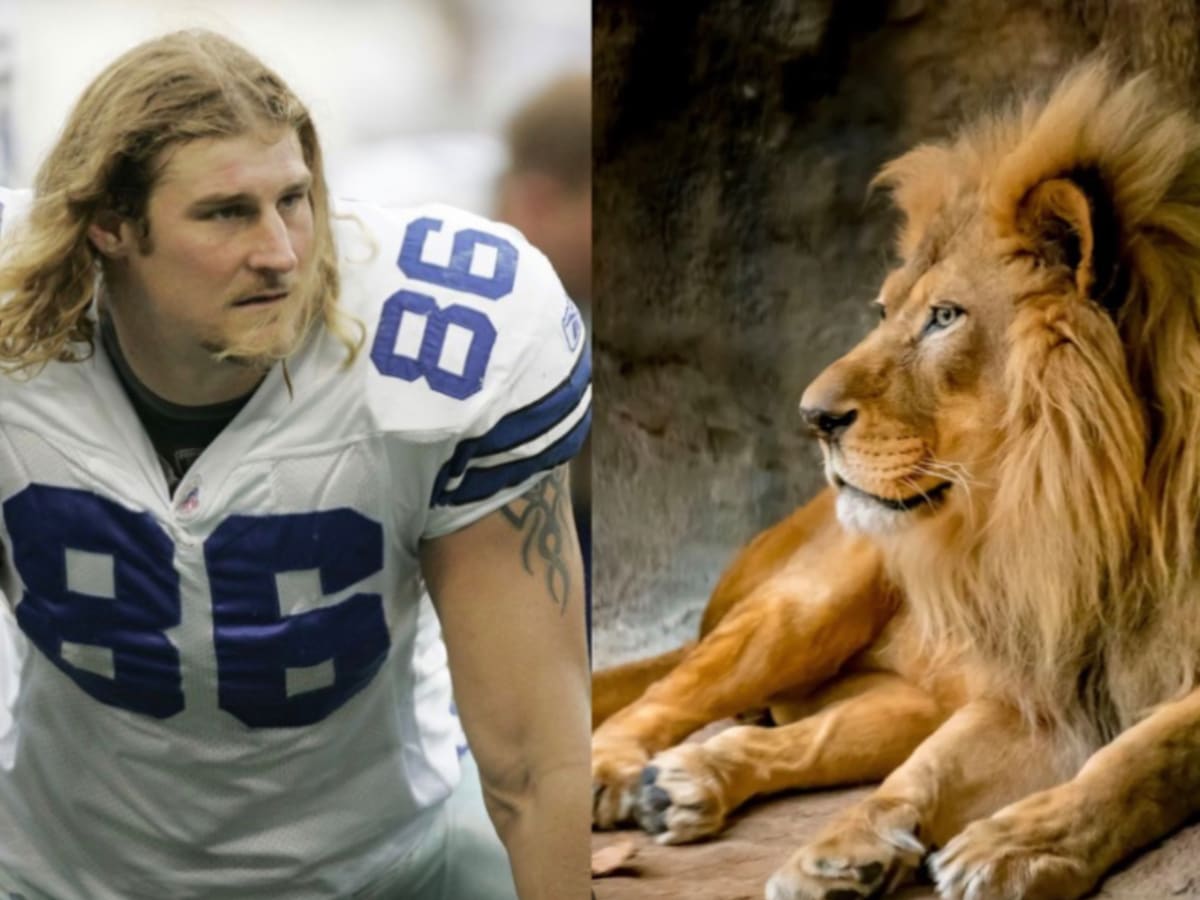 Dallas Cowboys Ex Dan Campbell Wants Live Lion - 'My Big-A** Pet!' - on NFL  Sideline in Detroit - FanNation Dallas Cowboys News, Analysis and More