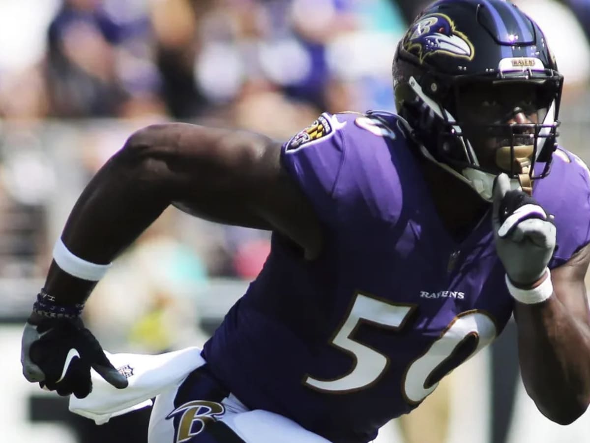 Justin Houston to Carolina Panthers; Will Baltimore Ravens Sign Veteran  Pass Rusher? - Sports Illustrated Baltimore Ravens News, Analysis and More