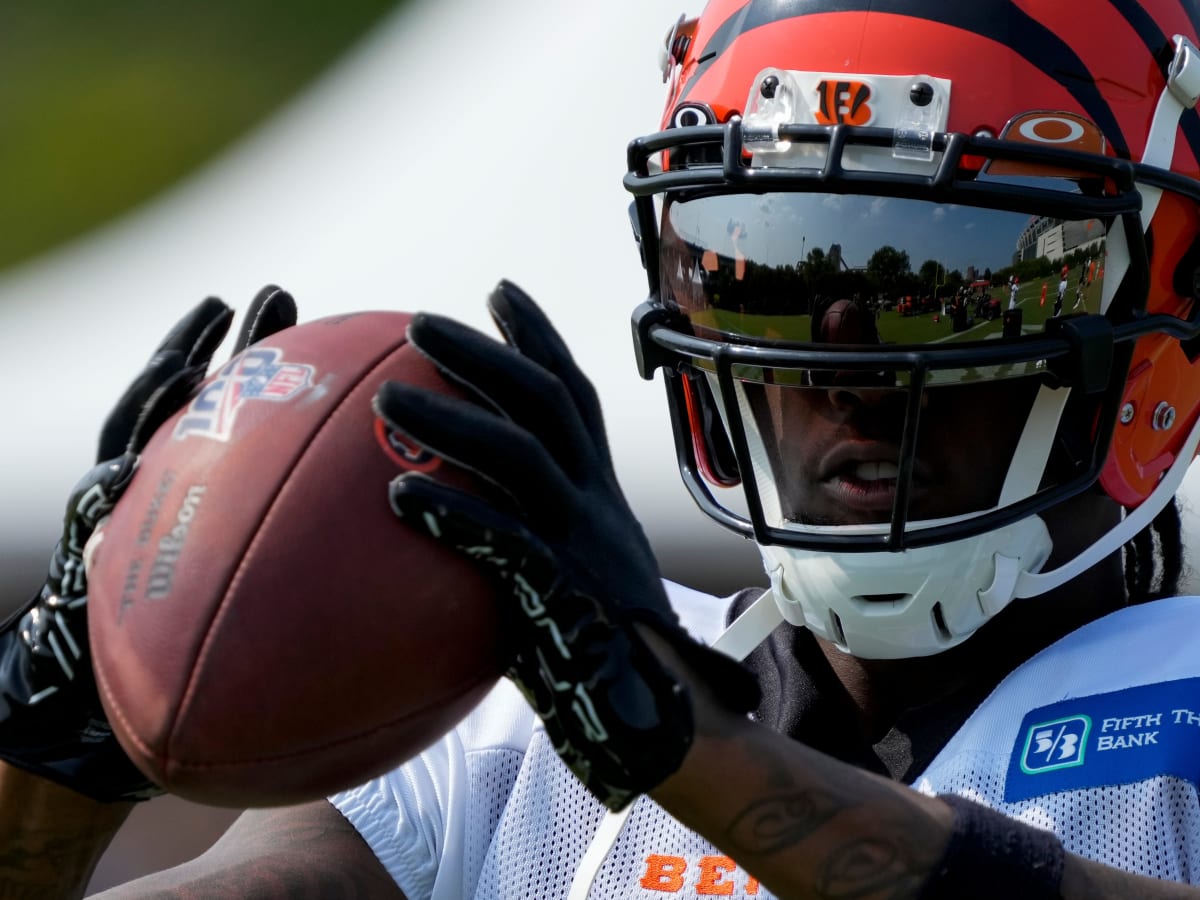 Bengals assistant compares Tee Higgins' progression to Reggie