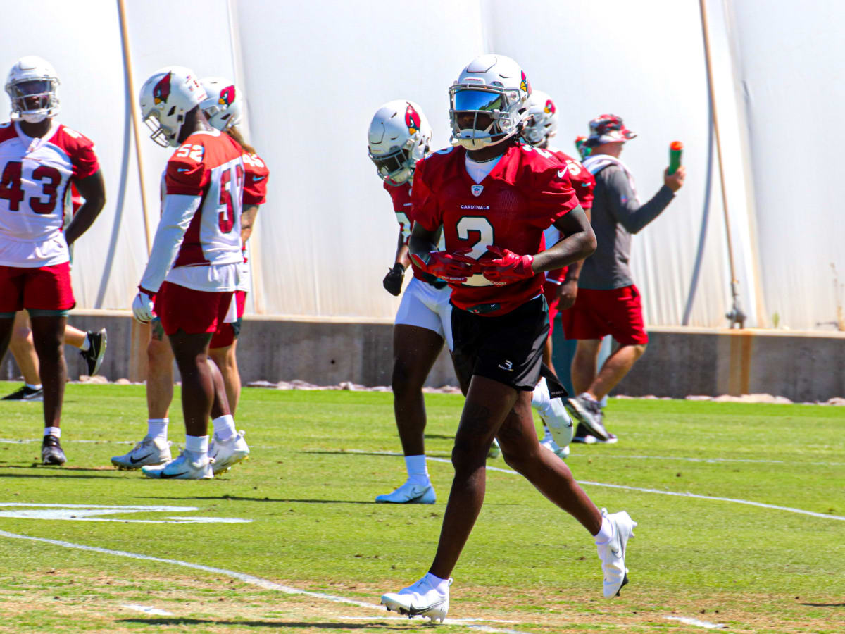 Arizona Cardinals bring joy to youngsters at football camp