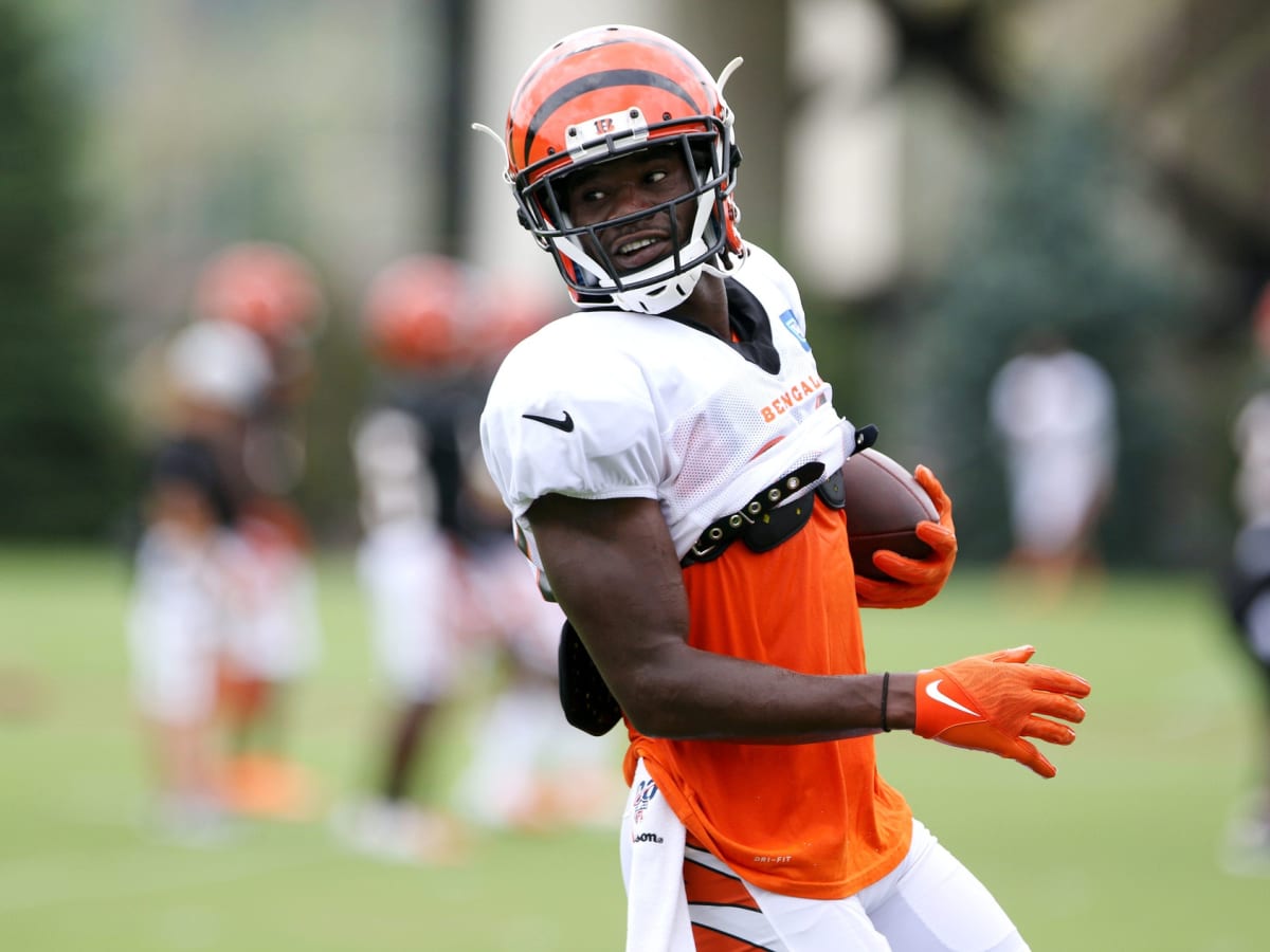 Cincinnati Bengals Re-Sign Mike Thomas, Make Flurry of Other