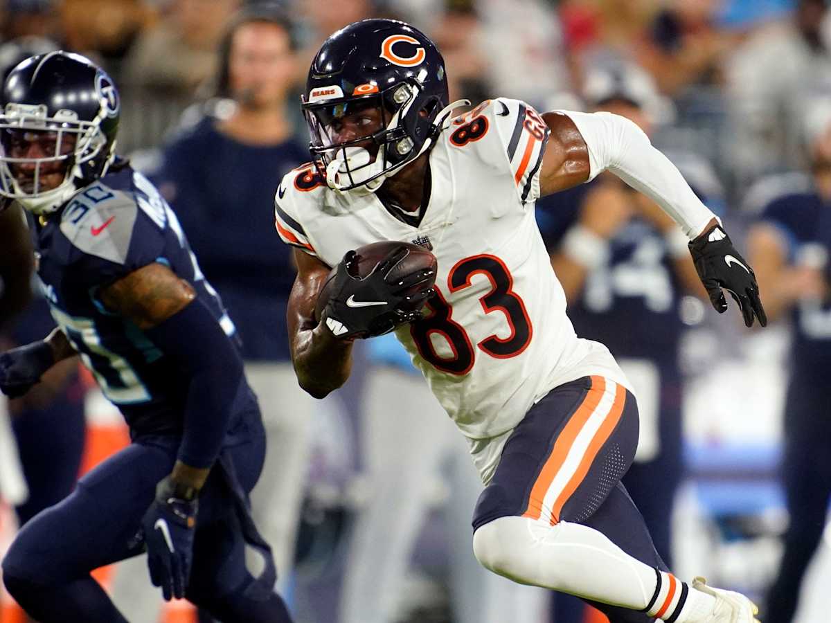 Chicago Bears tight end Ryan Griffin (84) celebrates after making