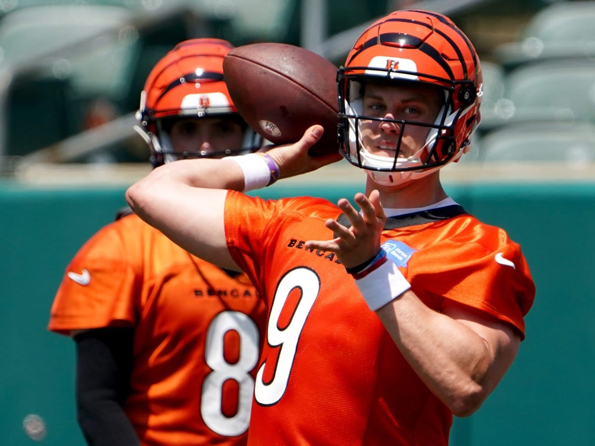 Joe Burrow gets standing O as he makes triumphant return to PBS: Bengals  news - Cincy Jungle