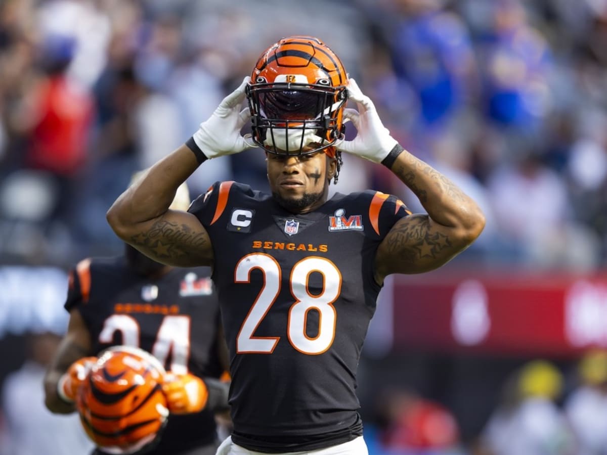 ❄️ ICY ❄️ The @Bengals are bringing back their White Bengal look today in  Pittsburgh