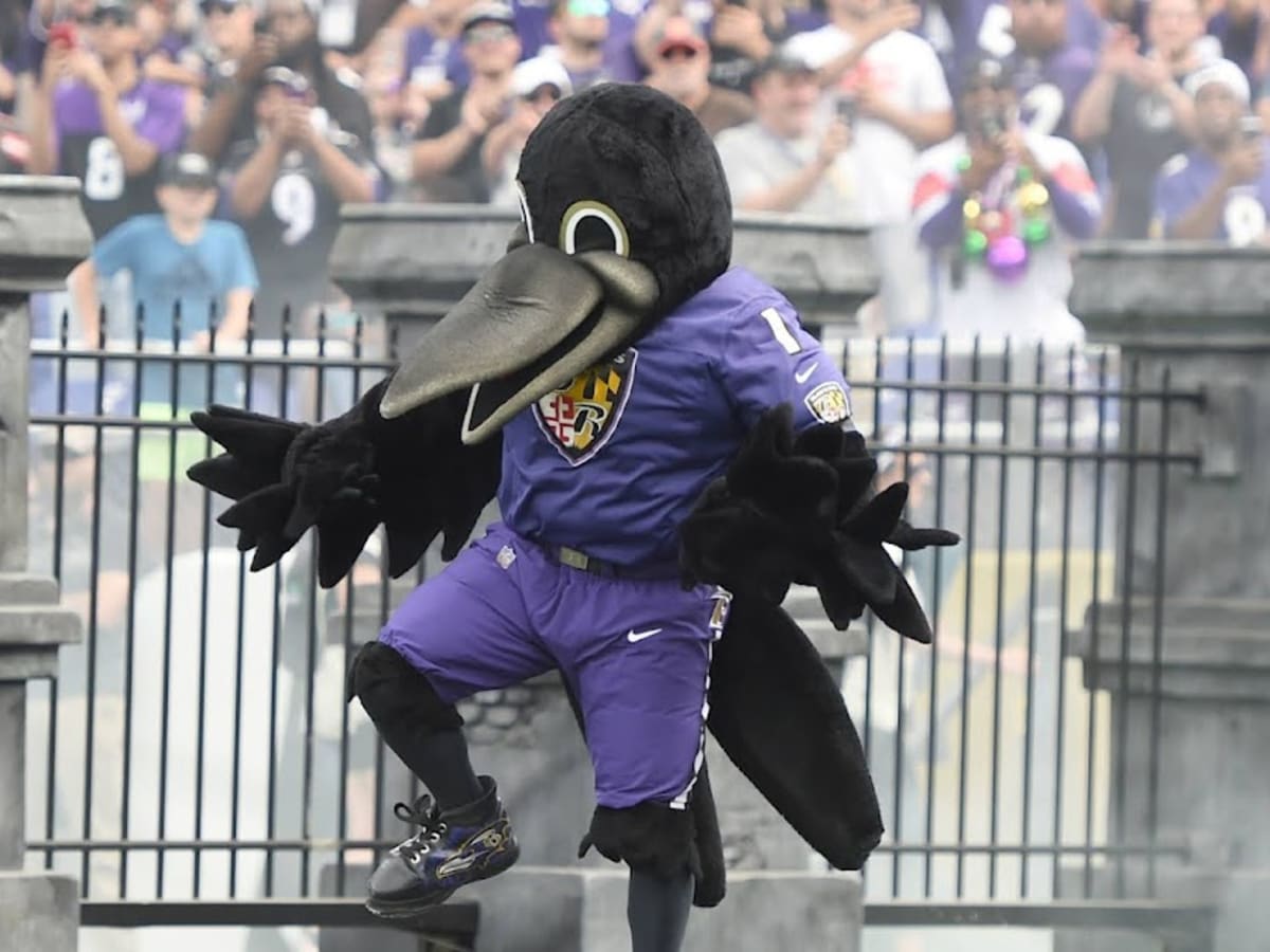 Edgar and Allan Return as Ravens Mascots