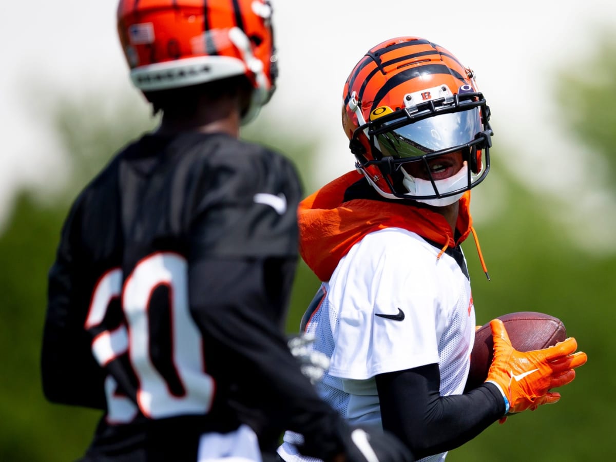 Cincinnati Bengals running back Aaron Brown in action during the NFL  football team's first practice at training camp, Friday, July 27, 2012, in  Cincinnati. (AP Photo/Al Behrman Stock Photo - Alamy