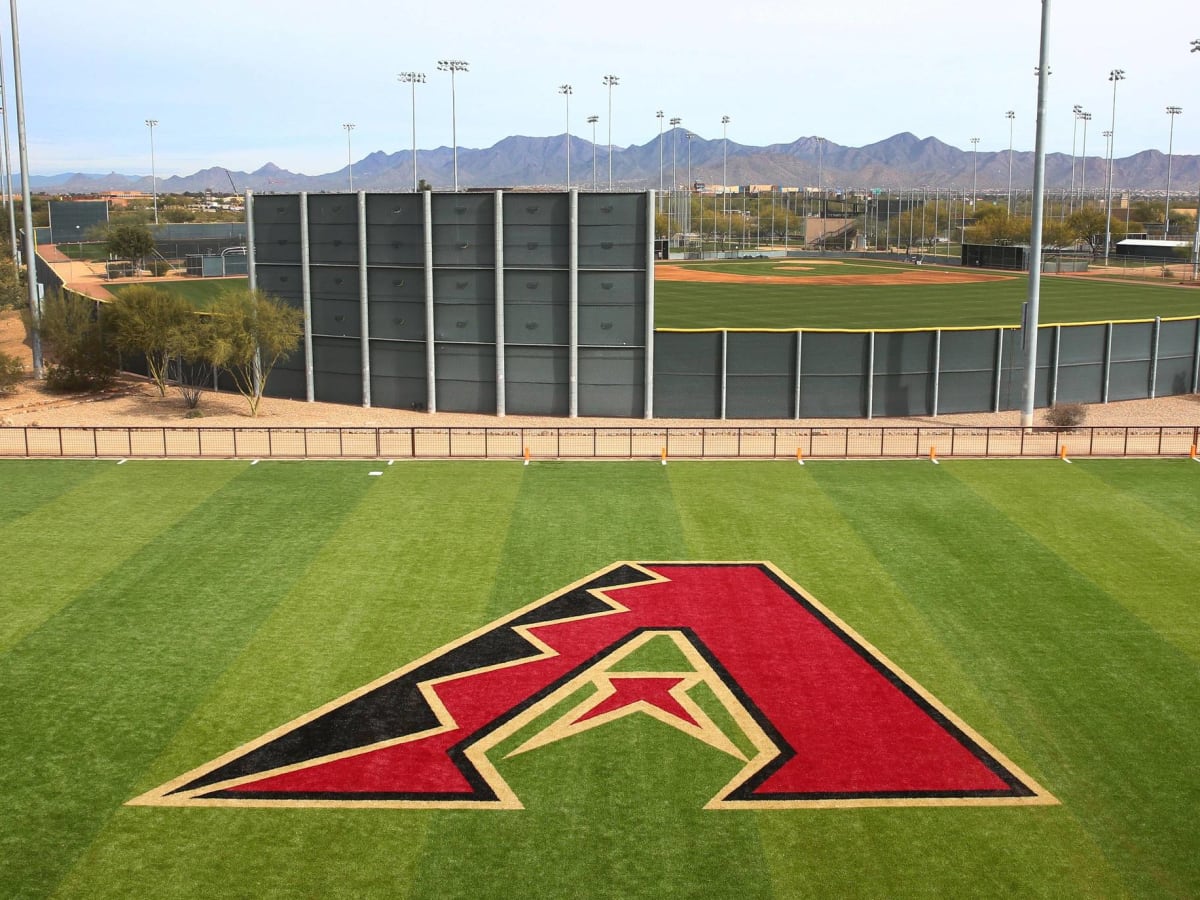 Arizona Diamondbacks' GM, wife navigate unique situation