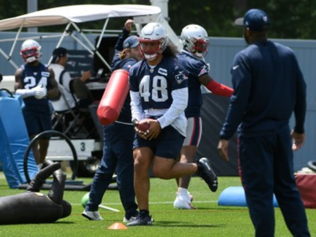 Patriots elevate former Lions linebacker Jahlani Tavai from practice squad  for Week 3 - Pats Pulpit