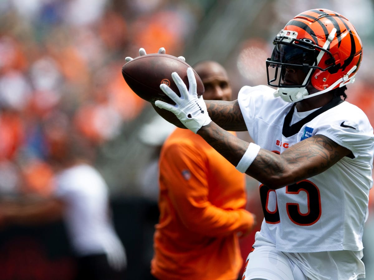 Former Clemson Receiver Tee Higgins Posts Career Day in Bengals' Huge Win  over Ravens - Sports Illustrated Clemson Tigers News, Analysis and More