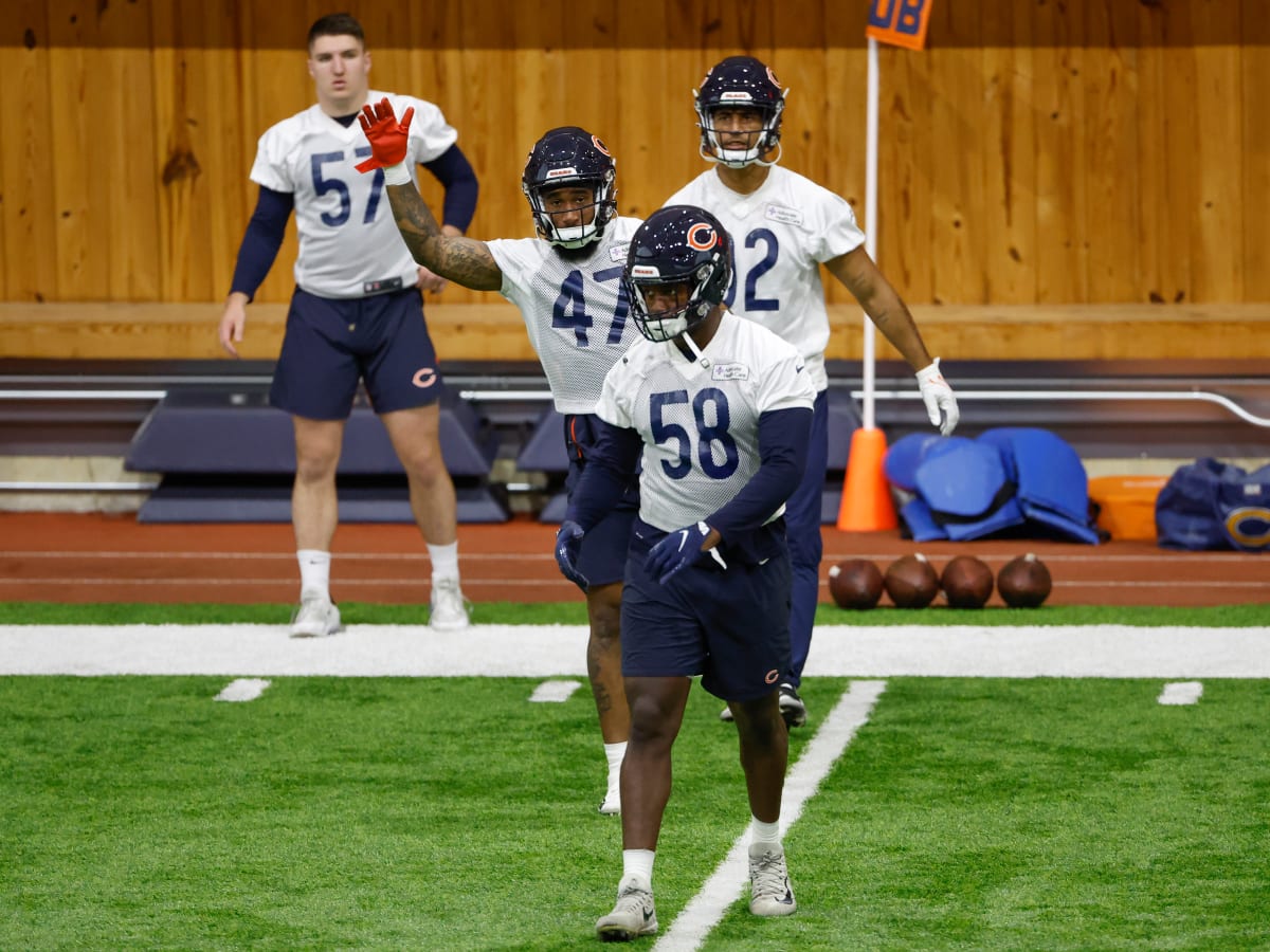 Everybody has a different sense of confidence': Why Roquan Smith's return  matters for the Chicago Bears – Orange County Register