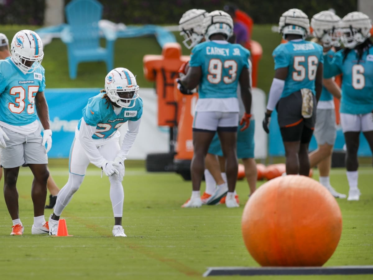 Miami Dolphins cornerbacks Elijah Hamilton, left, 33, and Trill