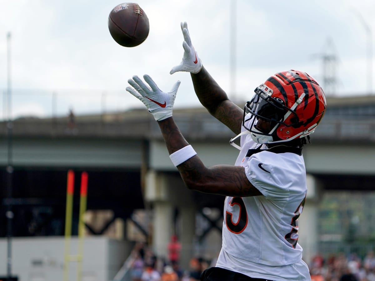 NFL salary cap expert says Bengals should extend Tee Higgins and