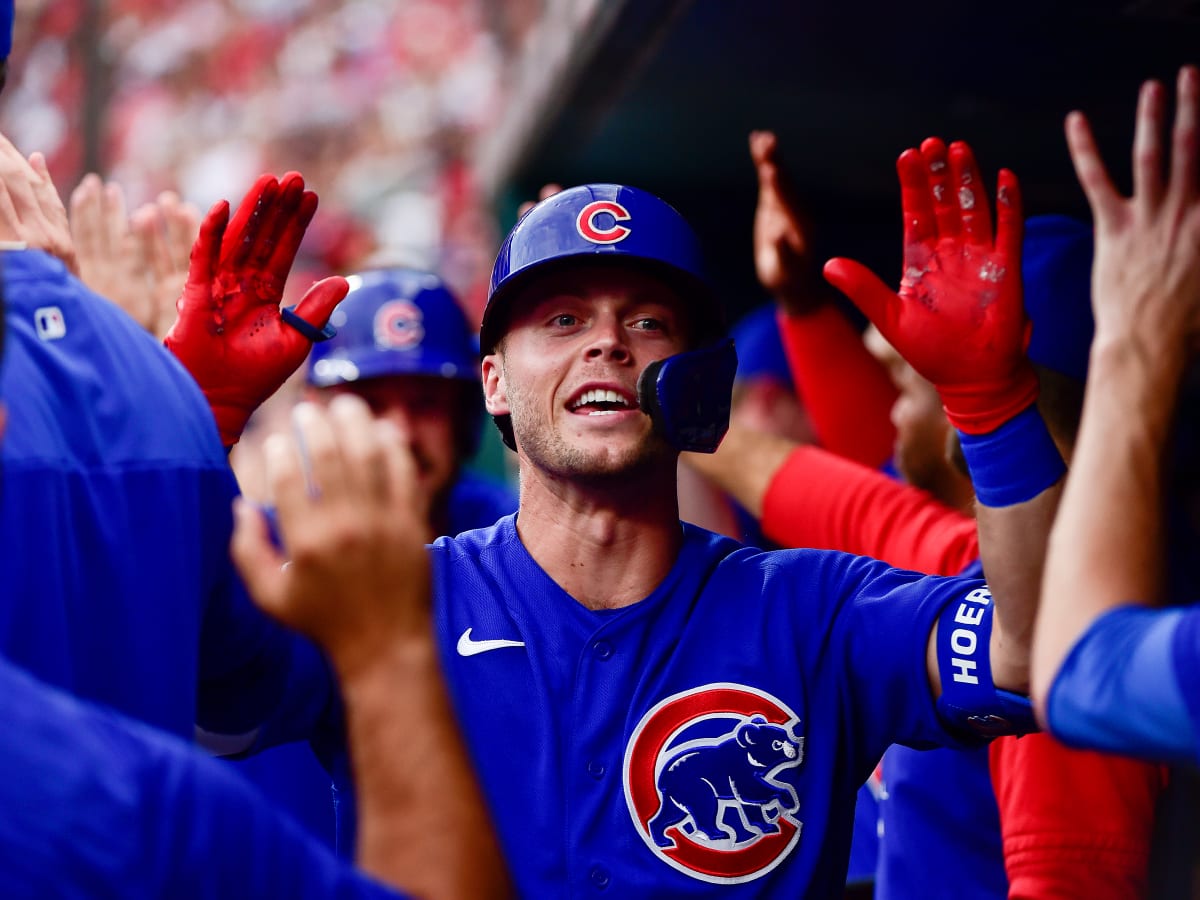 I could visibly see a horse - Chicago Cubs' shortstop Nico