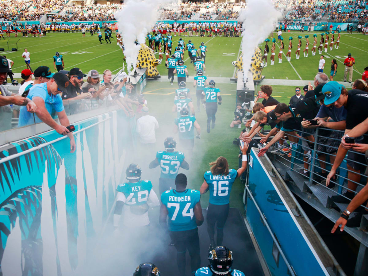 Video: Massive Brawl Erupts Among NFL Fans During Jaguars-Steelers  Preseason Game - 21.08.2022, Sputnik International