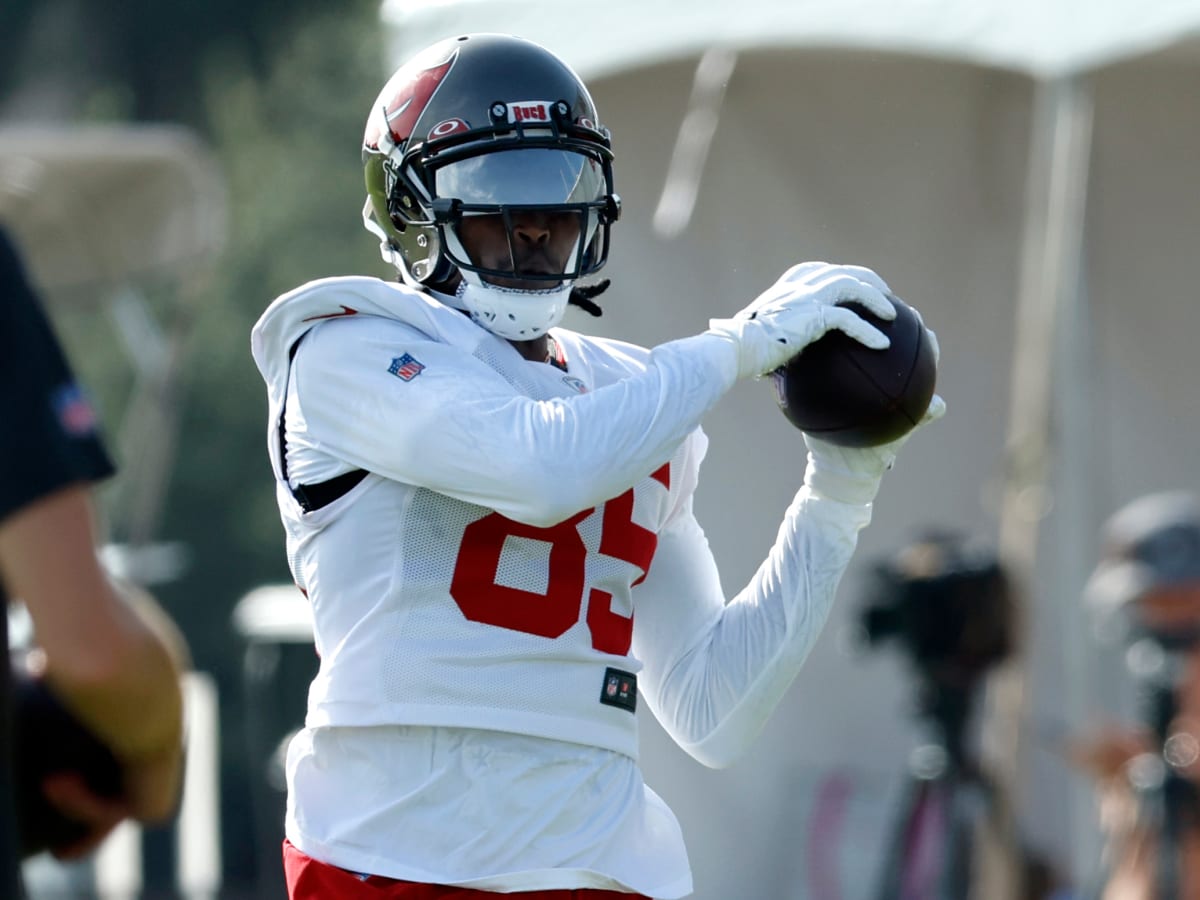 Can Julio Jones Still Make an Impact in the NFL with the Tampa Bay Bucs? -  FanBuzz