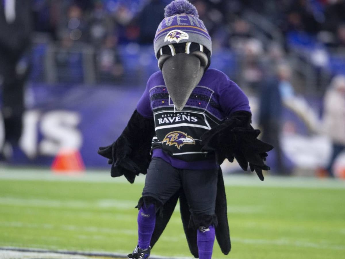 NFL World Reacts To Ravens' Mascot Injury Diagnosis News - The