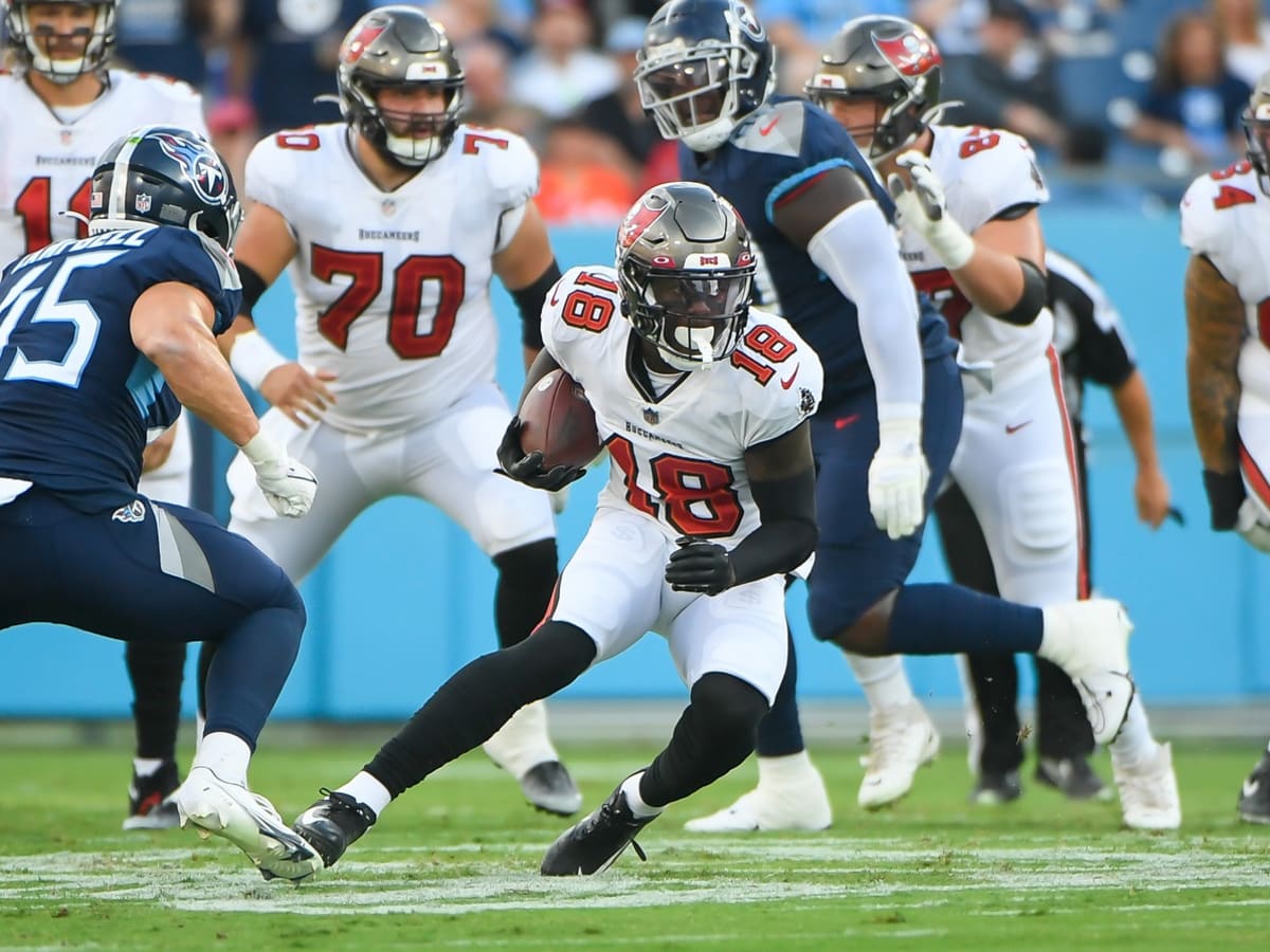 Tampa Bay Buccaneers: Michael Johnson released - Sports Illustrated