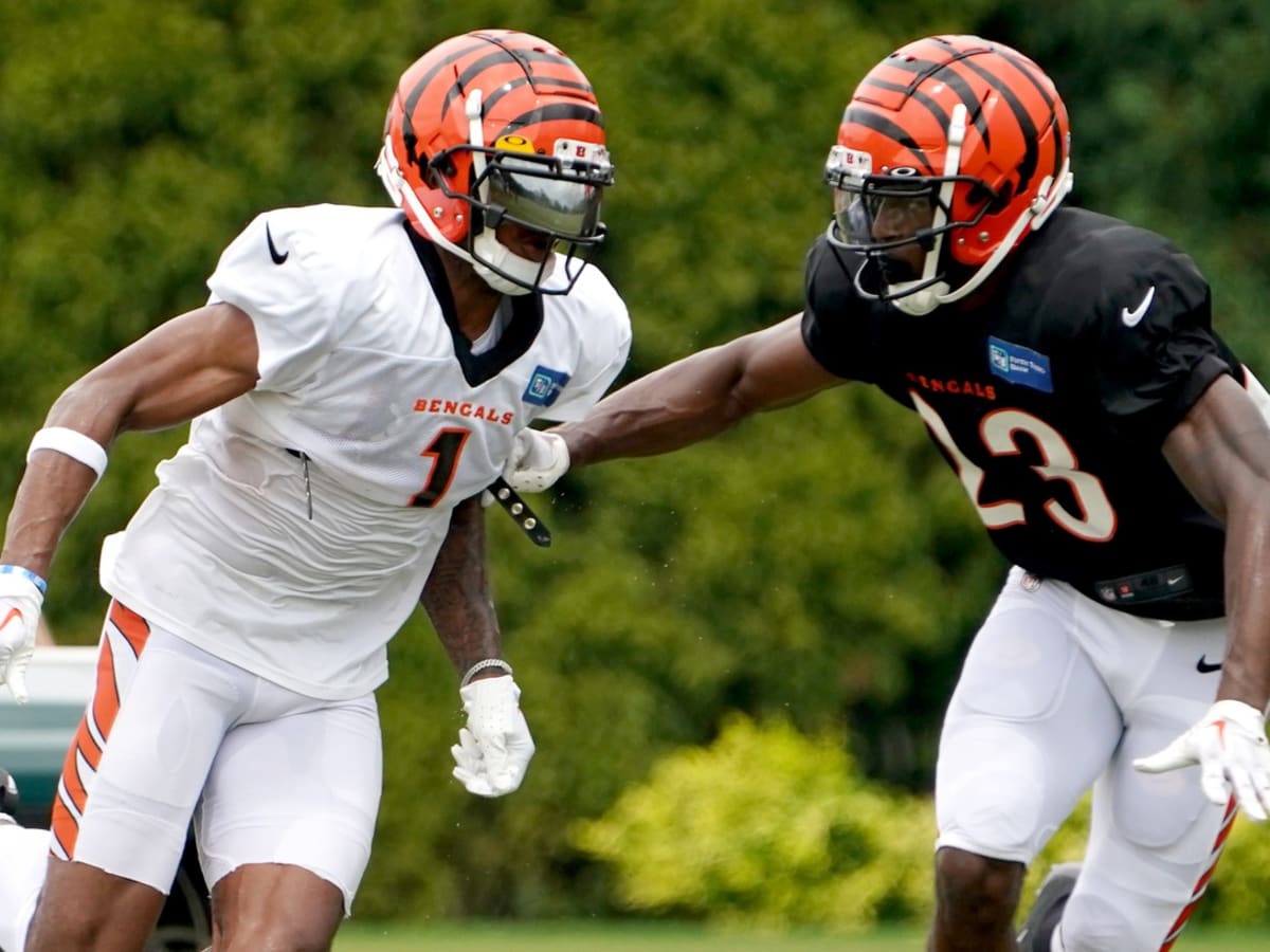 Cincinnati Bengals safety Dax Hill (23) in action as the Arizona Cardinals  played the Cincinnati Bengals in an NFL football preseason game in  Cincinnati, Friday, Aug. 12, 2022. The Cardinals won 36-23. (