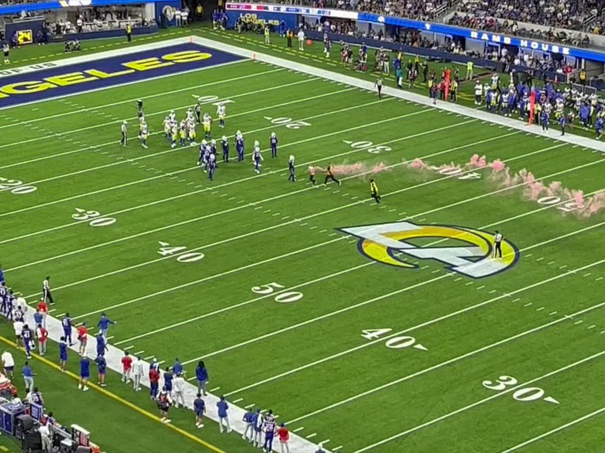 Animal rights activists interrupt Bills-Rams game, carry smoke flare across  field