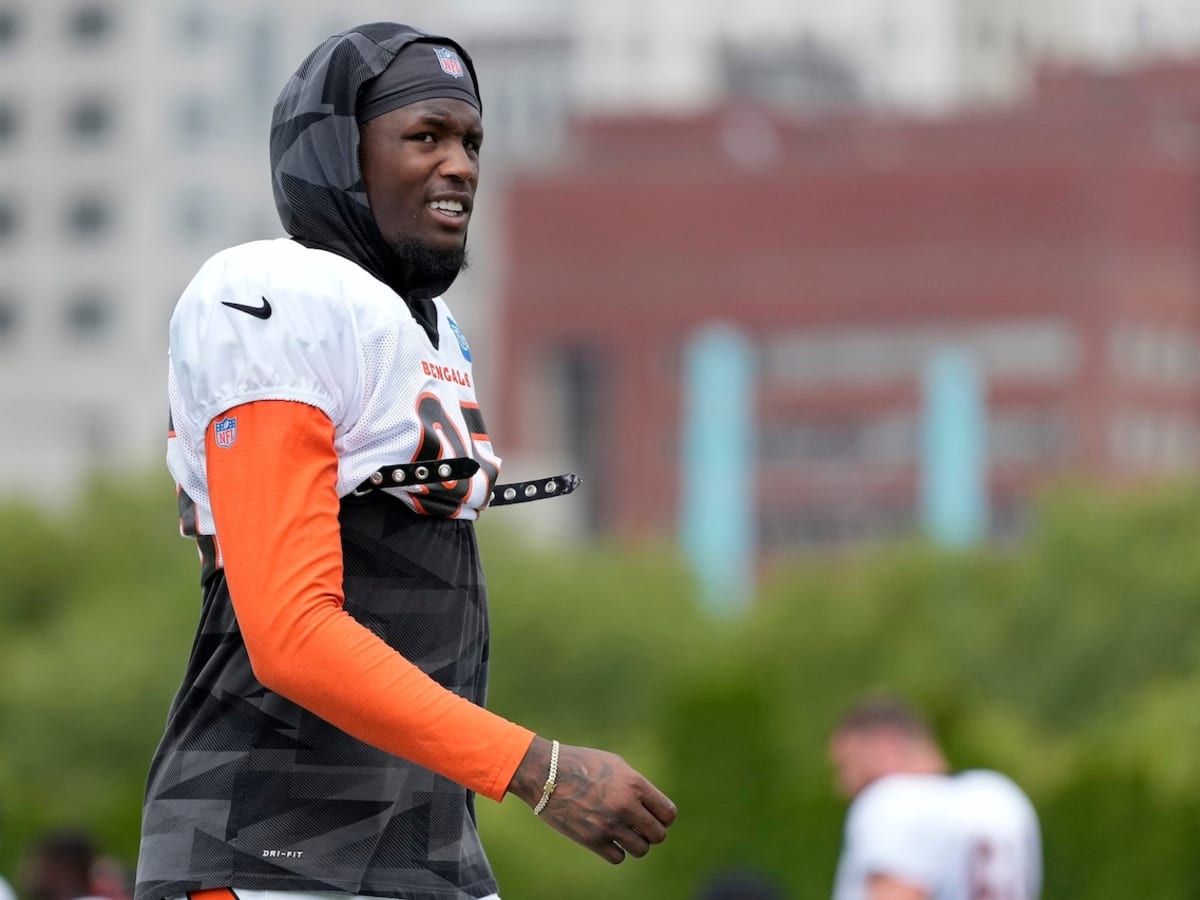 WR Tee Higgins Ruled Out of Bengals' Game Against Steelers