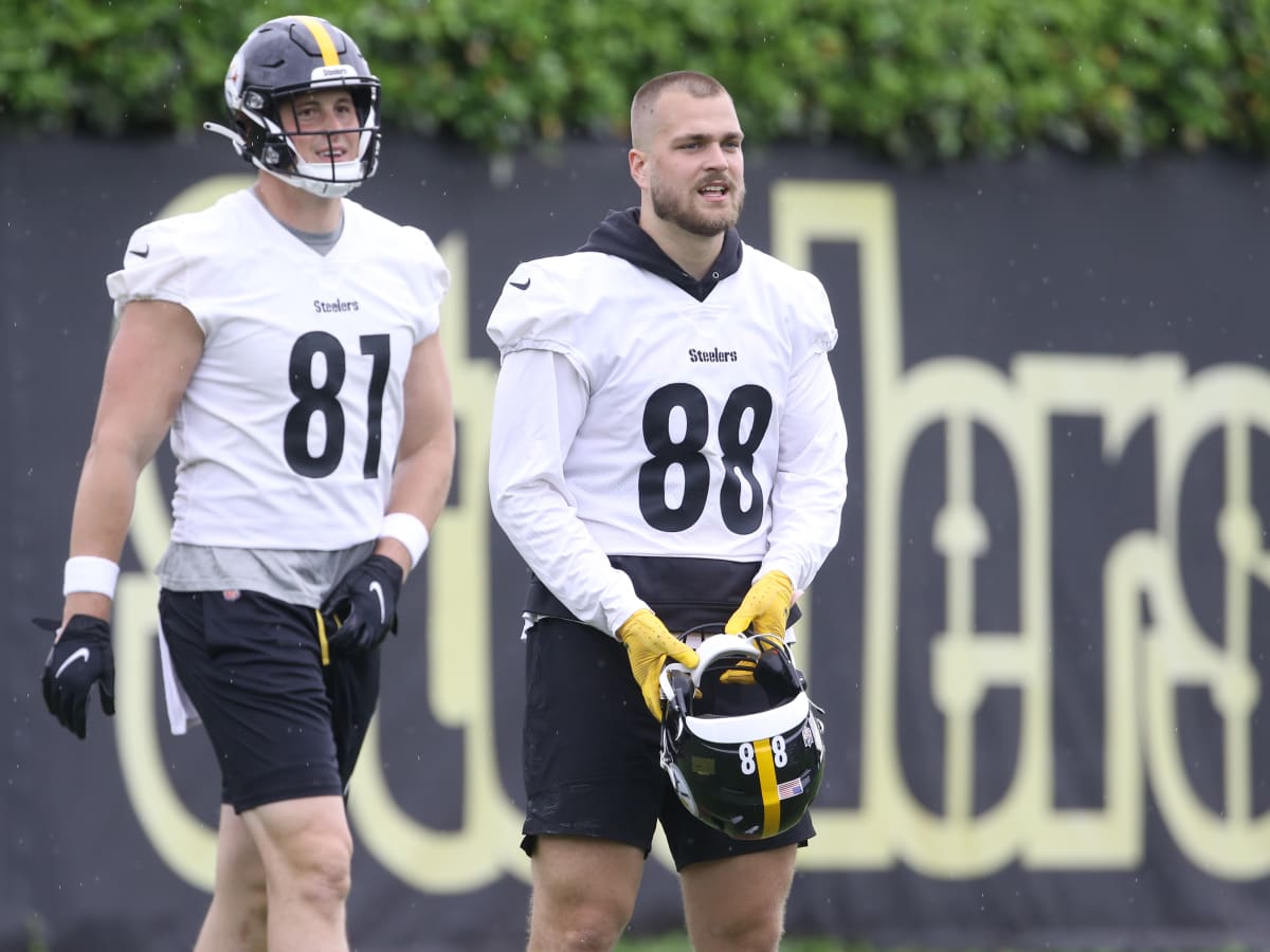 Pittsburgh Steelers tight end Zach Gentry (81) and quarterback