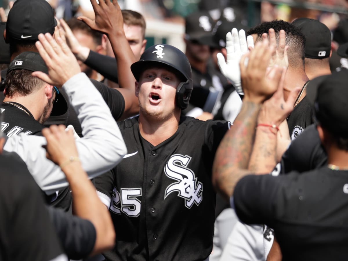 White Sox Fight for Life in Against Twins, Guardians in AL Central