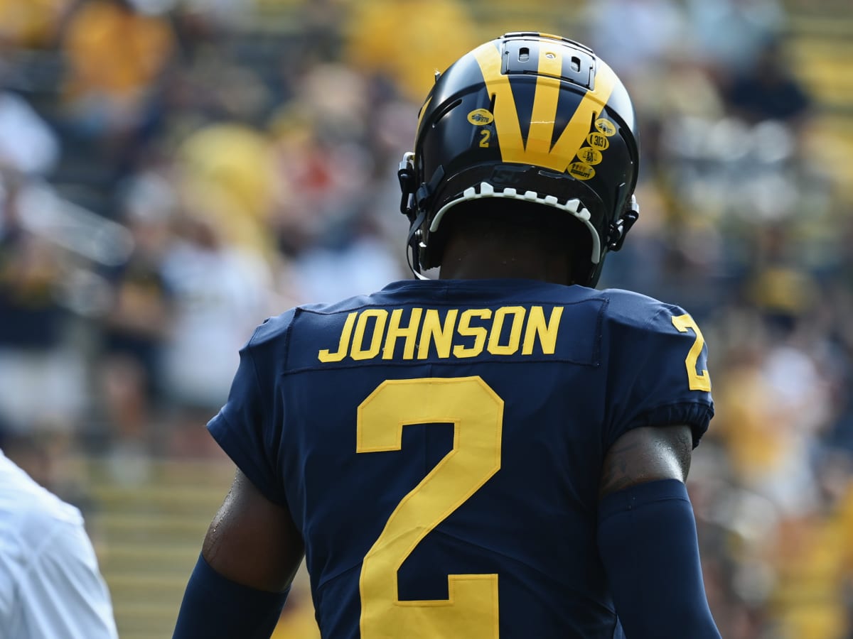 Michigan's Will Johnson Making Big Strides - Sports Illustrated Michigan  Wolverines News, Analysis and More