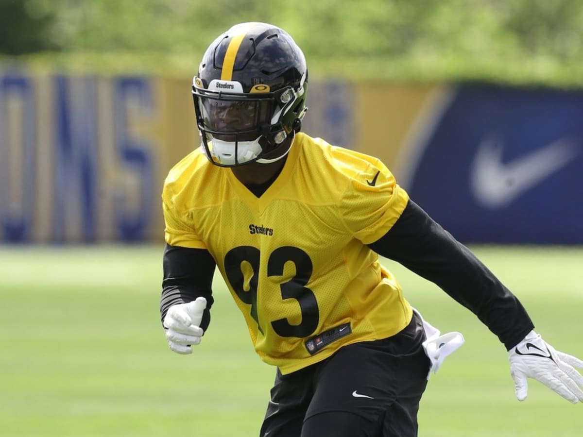 Steelers Rookie LB Robinson Makes Mark vs Ravens