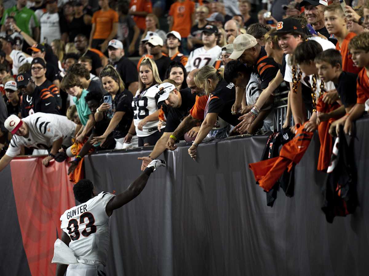 Cincinnati Bengals attendance growth leads the NFL, but league's ticket  sales are flat - Cincinnati Business Courier