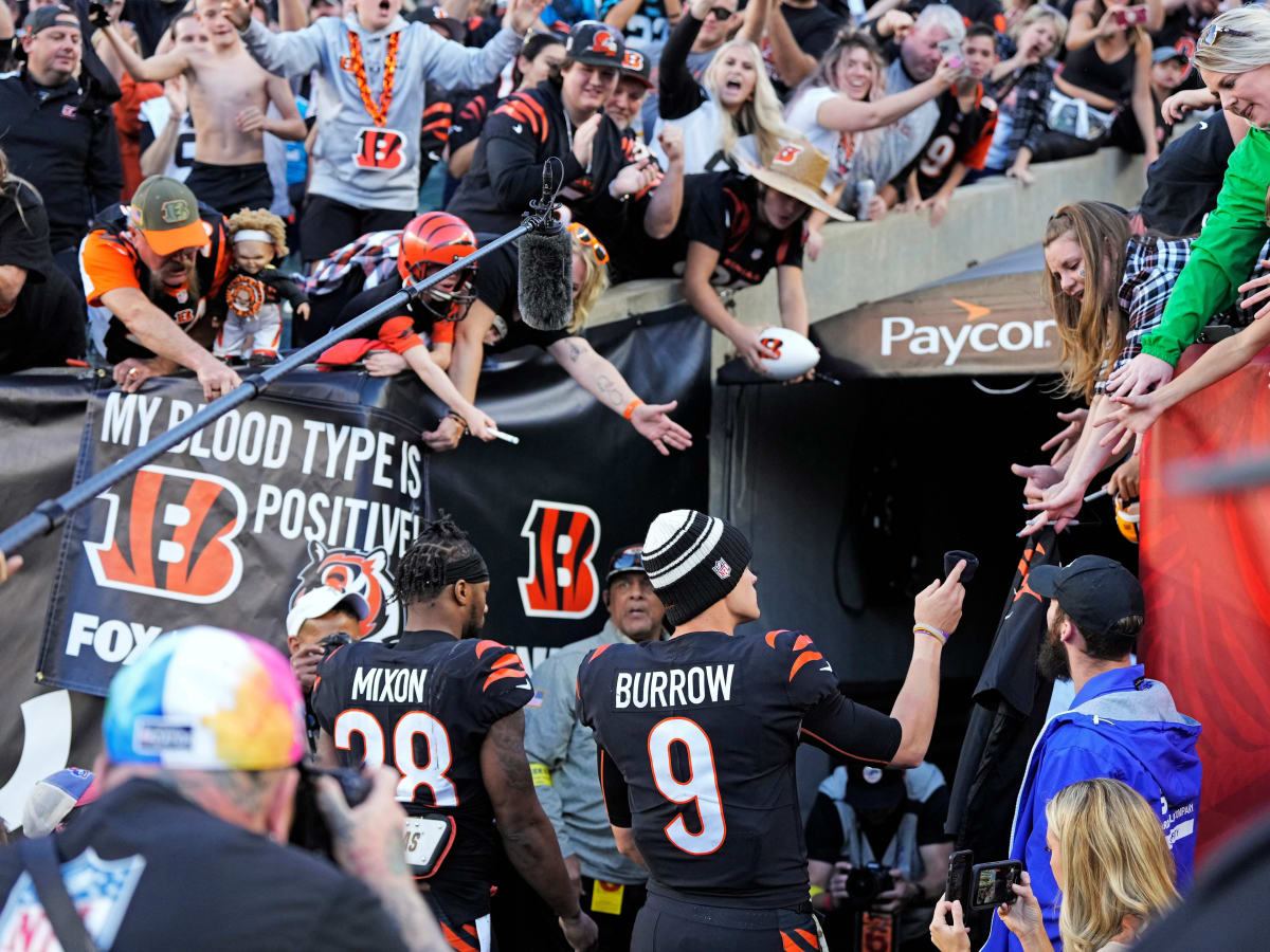 Three Questions for Conference Championship Losers: Cincinnati Bengals -  Bleacher Nation