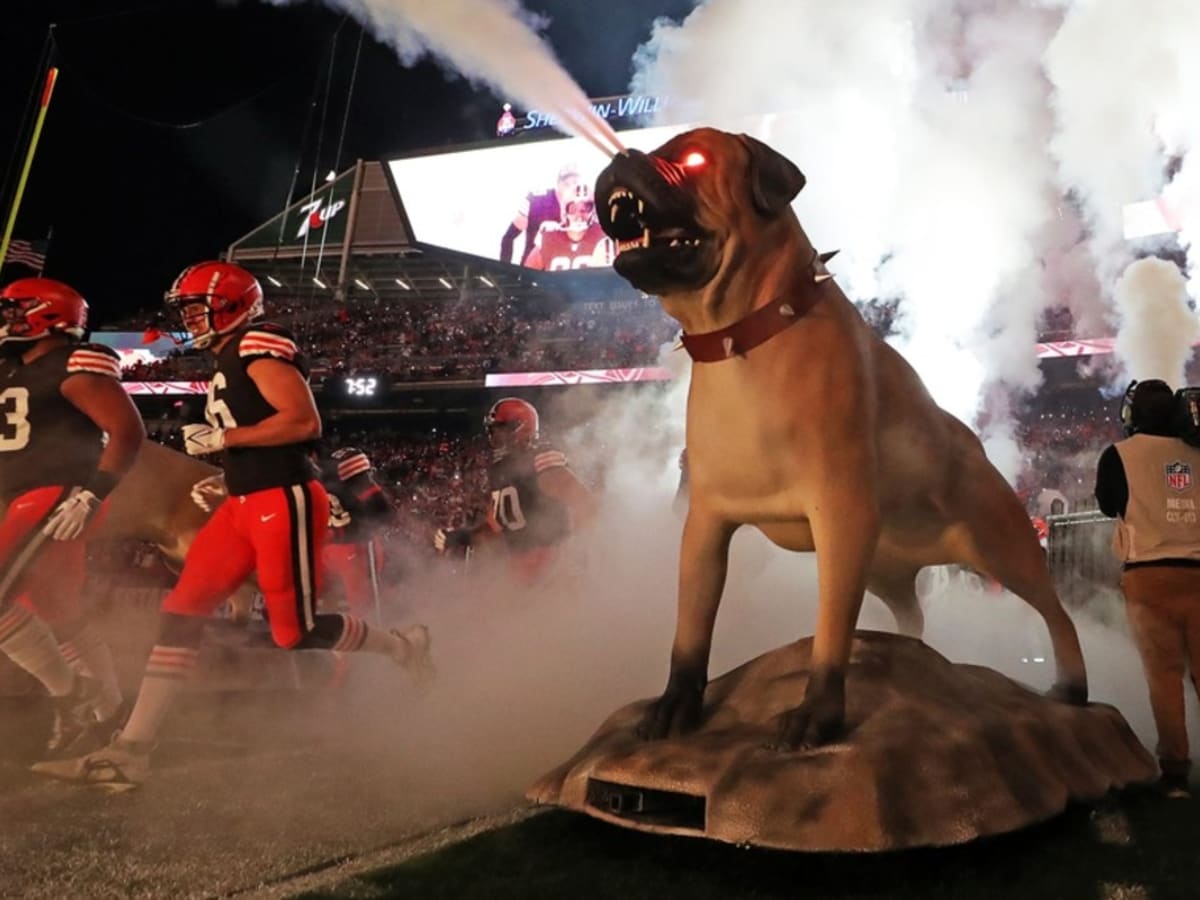 Browns vs. Dolphins: Watch, game time, TV schedule, streaming and more -  Dawgs By Nature