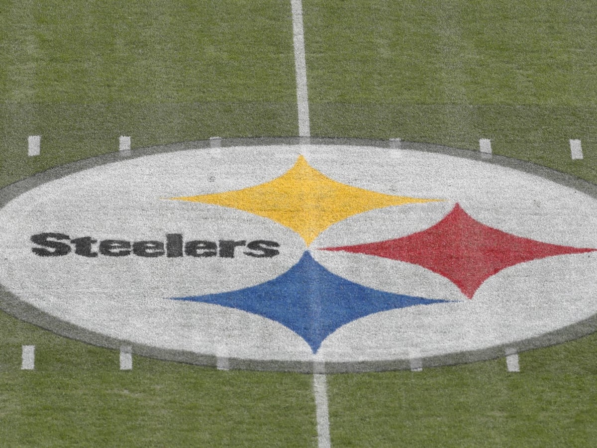 Steelers – Saints: Pigeons took field over, wouldn't go away