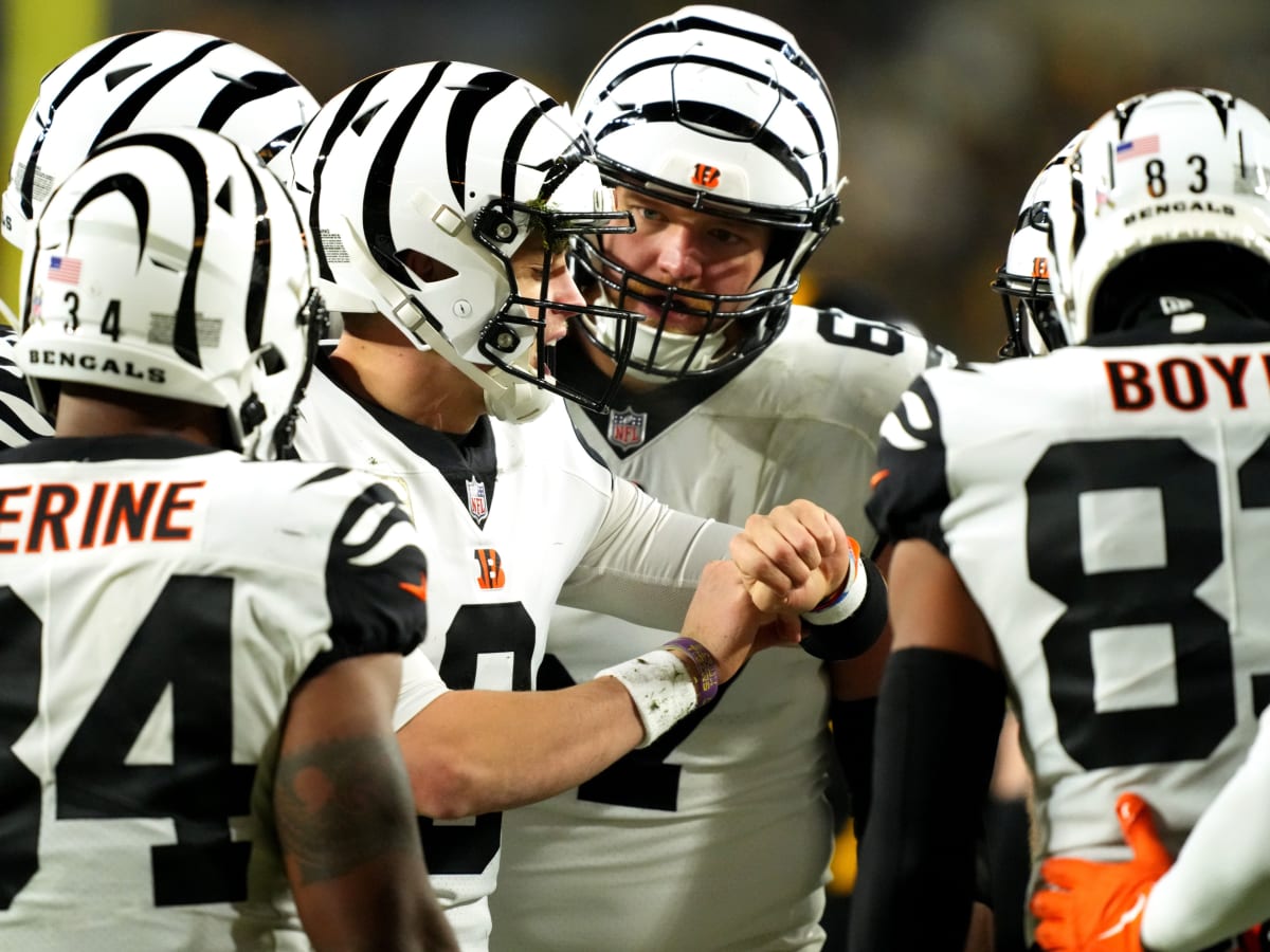 Cincinnati Bengals blow it late against Pittsburgh Steelers – The Durango  Herald