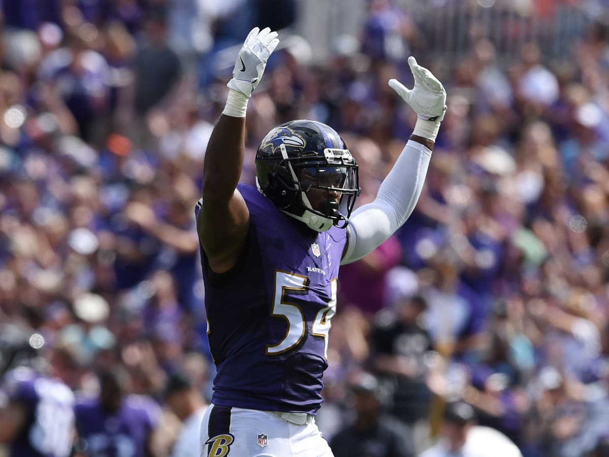 Baltimore Ravens Hire Zach Orr as Coordinator; 'Patience' With All-Pro as  Coach? - Sports Illustrated Baltimore Ravens News, Analysis and More