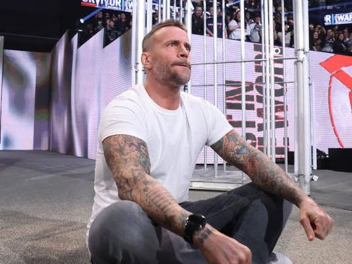 CM Punk says he'll be at WWE WrestleMania 40 - WON/F4W - WWE news, Pro  Wrestling News, WWE Results, AEW News, AEW results