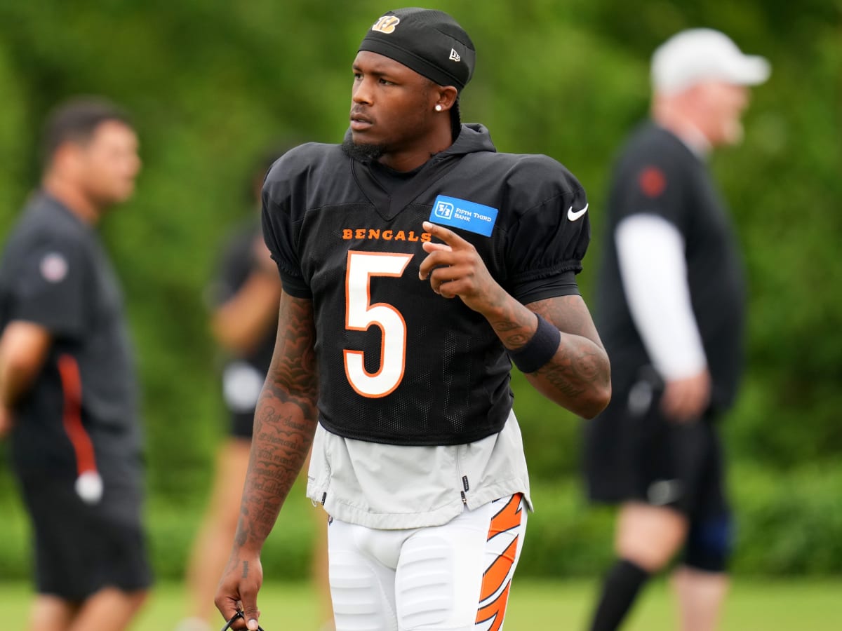 Bengals' Tee Higgins is 'learning a lot' in first NFL training camp