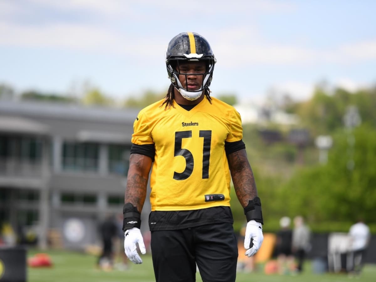 Pittsburgh Steelers linebacker Buddy Johnson (45) warms up before a  preseason NFL football game, Sunday, Aug. 28, 2022, in Pittsburgh, PA. (AP  Photo/Matt Durisko Stock Photo - Alamy