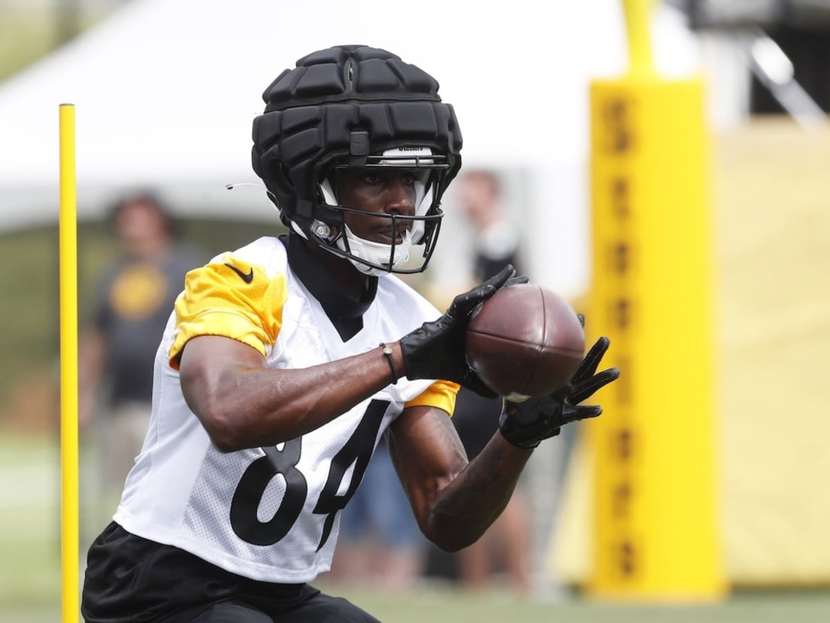 Pittsburgh Steelers Release WR Dez Fitzpatrick - Sports Illustrated  Pittsburgh Steelers News, Analysis and More