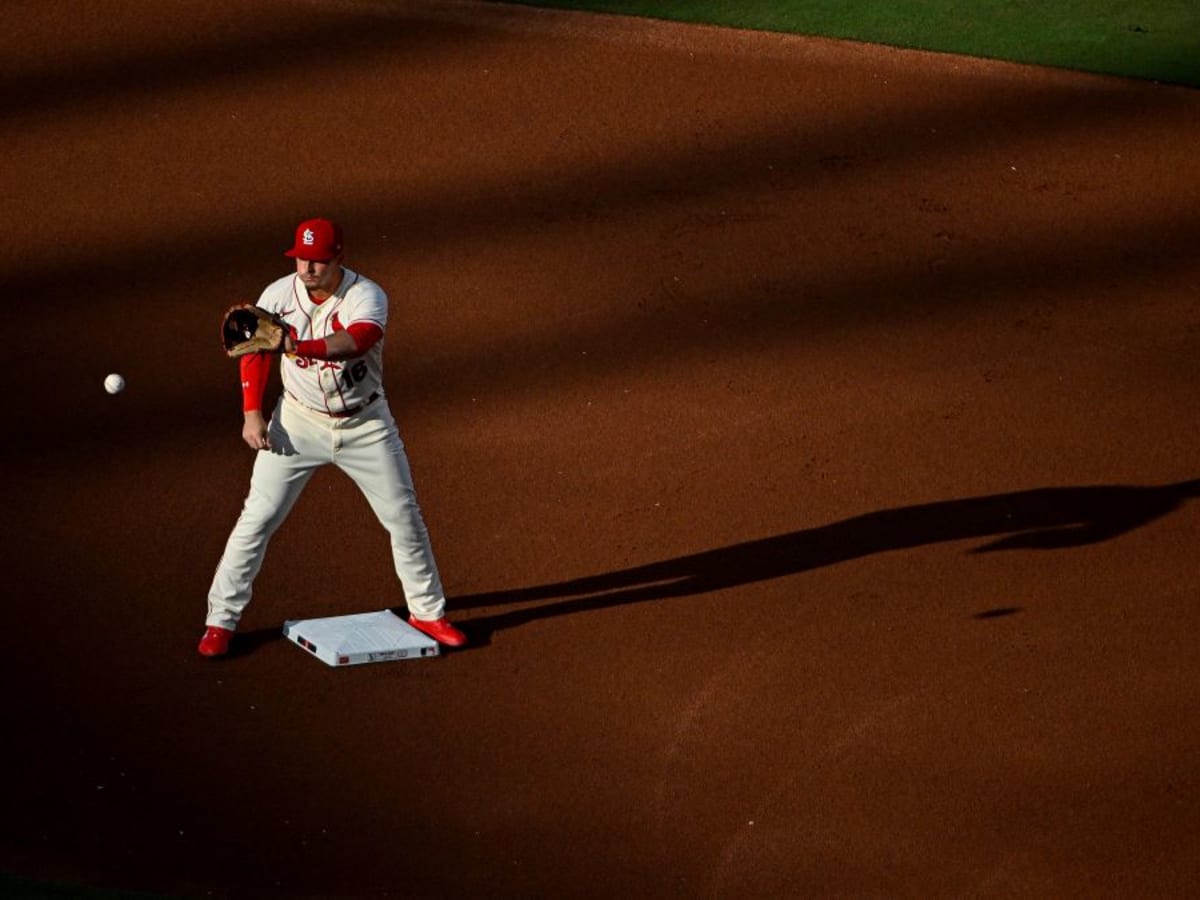 Cardinals Reportedly Lose Outfielder For Season; Has He Played His Last  Game For Club? - Sports Illustrated Saint Louis Cardinals News, Analysis  and More